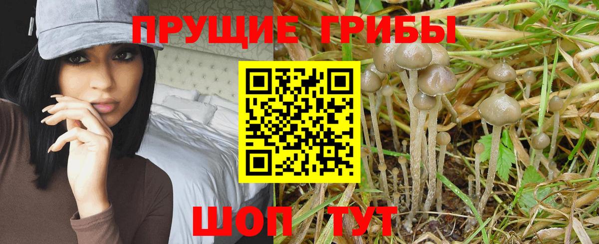 Галлюциногенные грибы мухоморы  Галлюциногенные грибы Magic Shrooms  Коряжма  Вход с VPN 